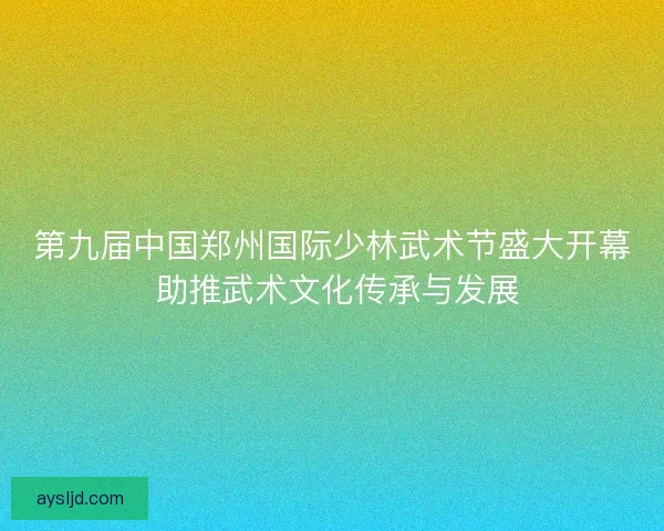 第九届中国郑州国际少林武术节盛大开幕 助推武术文化传承与发展
